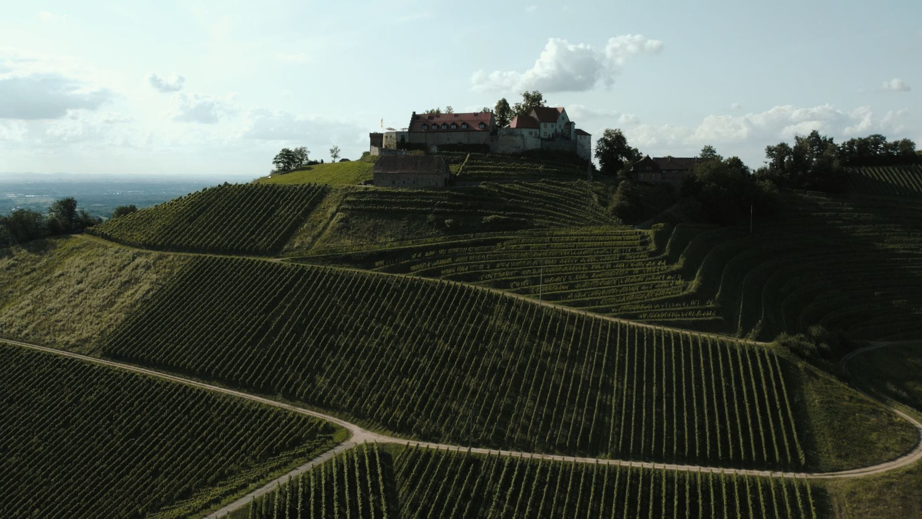 Widok z drona na zamek Schloss Staufenberg wśród winnic